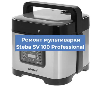 Замена платы управления на мультиварке Steba SV 100 Professional в Нижнем Новгороде
